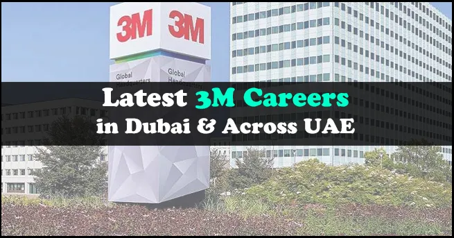 3M Careers