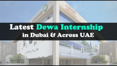 DEWA Internship